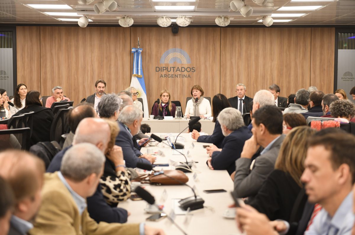 Presentaron una nueva propuesta para la Ley de Financiamiento Universitario