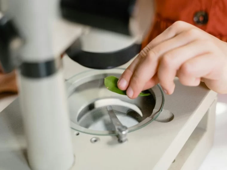 Licenciatura en Biotecnología: una nueva carrera interdisciplinaria para la UBA