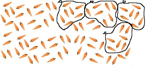 Desde luego que la representación de las zanahorias puede ser icónica (con dibujitos o con palitos).