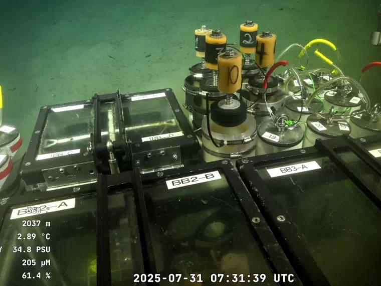  Explorando las profundidades del Mar Argentino con el SuBastian: una secuencia para trabajar en el aula