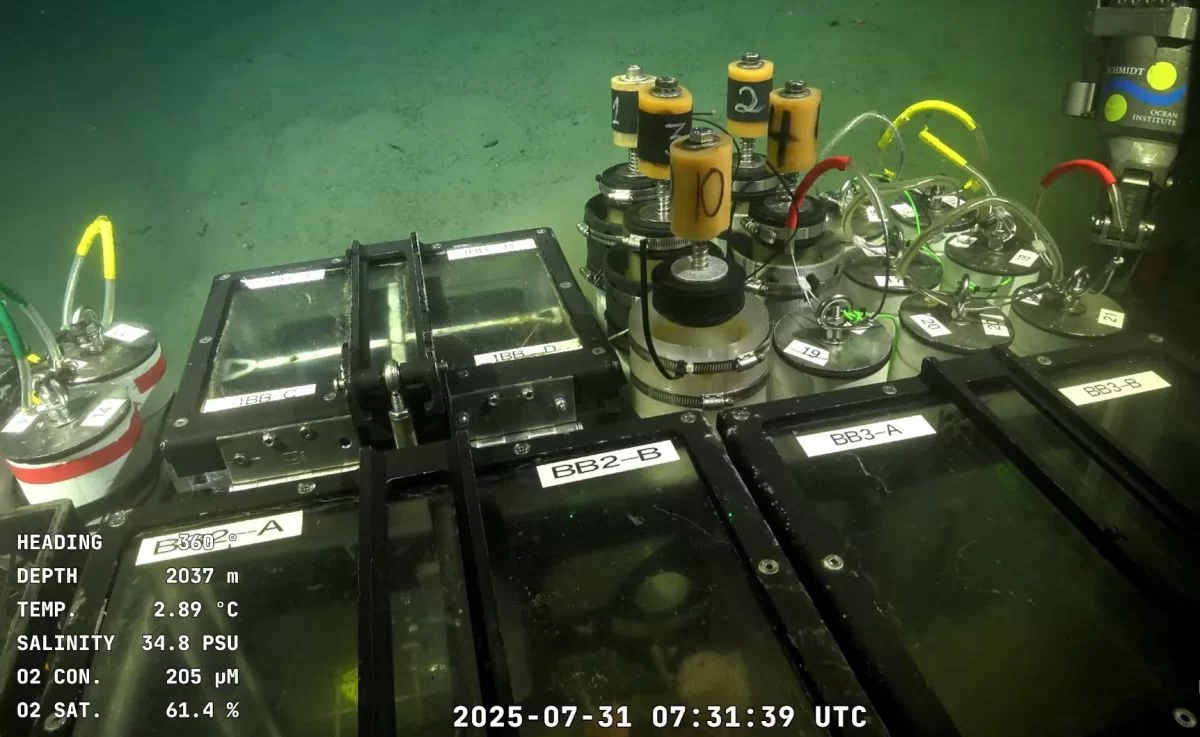  Explorando las profundidades del Mar Argentino con el SuBastian: una secuencia para trabajar en el aula